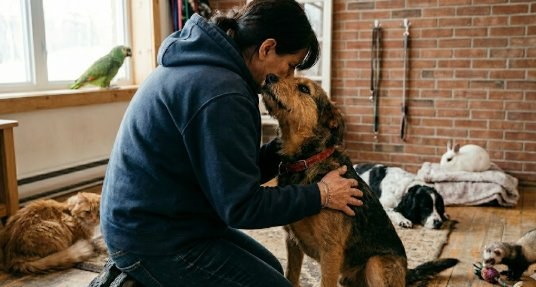 Gardienne câlinant tendrement un chien dans un espace chaleureux — l'origine de Cabane à Câlins